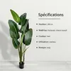IvoQ Strelitzia Plante Artificielle 180 cm - Grande Plante Voir les images du produit 8