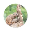 MuchoWow® Mauspad Mousepad Erdmännchen - Baumstumpf - Produktbild-Vorschau 1