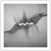 Poster - Poster ohne Rahmen - Kuss Liebe Paar - 60x60 cm - Produktbild-Vorschau 1
