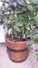 Kiefernblumentopf 42xH38 k. Walnuss Produktbild-Vorschau 5