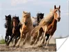 MuchoWow® Poster Laufende Pferde in der Mongolei 80x60 cm - Produktbild-Vorschau 1