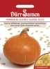 Hokkaido-Kürbis Uchiki Kuri | Hokkaido-Kürbissamen von Dürr Produktbild-Vorschau 3