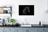 MuchoWow® Poster Pferd - Tier - Schwarz 90x60 cm - Produktbild-Vorschau 3