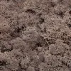 Natürliches Islandmoos Braun 500g – Dekorationsmaterial für Produktbild-Vorschau 3