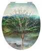 CORNAT Hologramm WC-Sitz -4 Seasons, KSDSC311 Produktbild-Vorschau 2