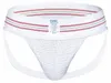 BIKE Original 3 Inch Jock White - Größe L Podgląd zdjęcia produktu 1