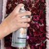 Elefantenhaut Spray Versiegelung Oasis 400ml Spraydose Produktbild-Vorschau 2