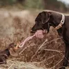 Hunter Inari, Hund, Seil, Rose, Baumwolle, Kauend, 6 cm Produktbild-Vorschau 3