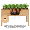 A wooden raised garden bed with carrots growing in it, showing the root system and drainage holes. Produktbild-Vorschau
