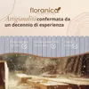 Floranica Bordura per Giardino in legno 40 x 100 cm Argento Anteprima dell’immagine prodotto 8