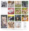 Alpha Edition - Samtpfötchen Kalender 2026 - Wandkalender & Produktbild-Vorschau 16