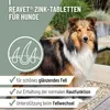 REAVET Zink Tabletten für Hunde 120 Stück – Hochdosiert mit Produktbild-Vorschau 2