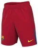 Maillot Nike Nike Fc Barcelona 2025/26 Stadium Fourth Men’s Voir les images du produit 6