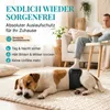 HUND IST KÖNIG Hundewindeln für Rüden [3 Stk], S (Taille Produktbild-Vorschau 2