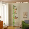 Purpurra Kratzbaum Kaktus, mit Deckenspanner, ⌀ 10.5cm, Produktbild-Vorschau 6