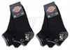 6 Paar DICKIES WORK SNEAKERS SOCKEN ArbeitsSneaker Produktbild-Vorschau 3