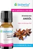 Bioherba Ätherisches reines Anisöl 10 ml Produktbild-Vorschau 1