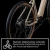 Remington XR01 E Bike Mountainbike 29 Zoll Pedelec 10 Gänge Produktbild-Vorschau 5