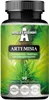 Integratore alimentare di artemisia 90 capsule Anteprima dell’immagine prodotto 1