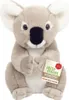 A plush koala toy is shown sitting against a white background, holding a tag. Produktbild-Vorschau