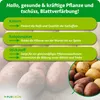 Purgrün -Kartoffeldünger 1 Liter, Produktbild-Vorschau 3