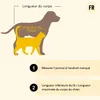 lionto Lit pour chien, lit douillet et moelleux avec Voir les images du produit 5