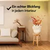 Infinity Goods Infinity Goods Hocker Holz - Teak - Produktbild-Vorschau 6