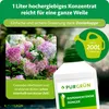 Purgrün Rispenhortensie-Dünger 1 Liter, Produktbild-Vorschau 4