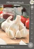 Pflanzknoblauch White Casablanca Produktbild-Vorschau 1
