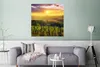 MuchoWow® Poster Toskana - Italien - Weinreben 75x75 cm - Produktbild-Vorschau 6