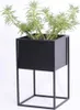 A black metal planter with a green plant inside, set against a white background. Produktbild-Vorschau