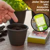 Tomatensamen Set - 10 Sorten Samen - Saatgut Sortiment - Produktbild-Vorschau 5