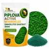 ECODECO Mikroklee Samen 500g Weiß Klee Beschichtete Clover Produktbild-Vorschau 10