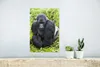 MuchoWow® Poster Ein Gorilla spaziert durch die grünen Produktbild-Vorschau 5