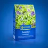Kiepenkerl Gründüngung Luzerne Medicago sativa für 100 m² Produktbild-Vorschau 1