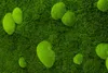 Moosbild Forest Design (140x40, schwarz) Produktbild-Vorschau 3