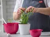 Rosti 29841, Einzelbild, Rote Bete, 3 l, Melamin, -25 °C, Produktbild-Vorschau 7