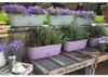 Jardinière avec soucoupe 'Etika" en plastique - D 48 cm - Voir les images du produit 4