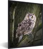 MuchoWow® MuchoWow® Gerahmtes Poster Eule - Nahaufnahme - Produktbild-Vorschau 1