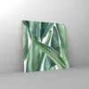 Bilder auf glas - Einteilig - Exotisch Blätter Grün - Produktbild-Vorschau 4