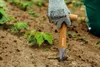 VERTO Legno per la semina - Divaricatore di semi, Anteprima dell’immagine prodotto 3