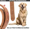Darcis Hundehalsband Leder Produktbild-Vorschau 2