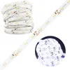 LUMILED LED Streifen 5M 300 LEDs 12V Kaltweiß 24W LED Strip Produktbild-Vorschau 2