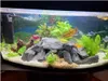 Rocce per acquario, pietre per acquario, ardesia nera Anteprima dell’immagine prodotto 3
