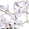 Waldrebe Clematis armandii Apple Blossom Produktbild-Vorschau 6