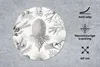 MuchoWow® Mauspad Mousepad Koniferen - Ernst Haeckel - Produktbild-Vorschau 2
