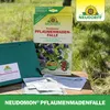 Neudorff Neudomon PflaumenmadenFalle 1 Stk. insektizidfrei Produktbild-Vorschau 5