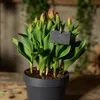 Esschert Design Haken für Schiefer Pflanzschild S 36 cm - Produktbild-Vorschau 2