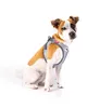 Curli Clasp Vest Geschirr Glow Reflective Gray, Größe: M Produktbild-Vorschau 10