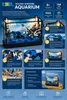 COIL bouwsteen set, constructieset, speelblokken, aquarium Productafbeelding-voorbeeld 2